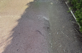 Nettoyage anti-mousse sur macadam