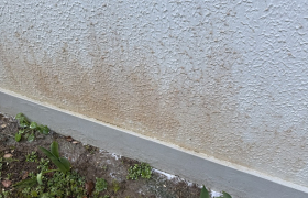  Nettoyage anti-mousse et traitement hydrofuge sur muret